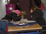 Info-Bild 5